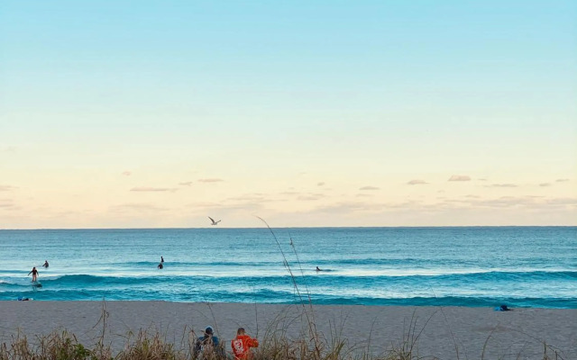 Tropicals of Palm Beach