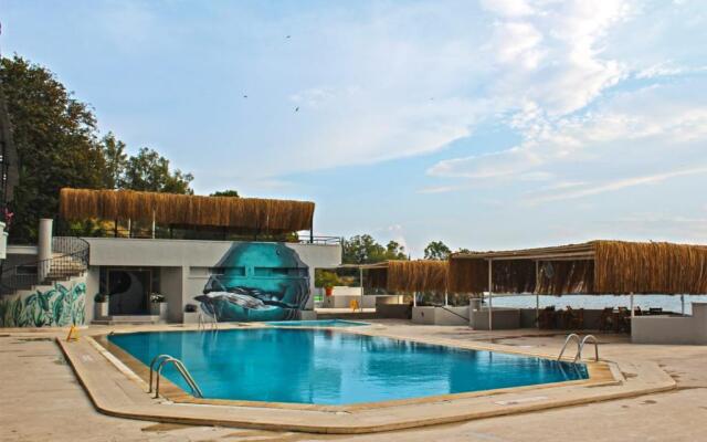 Leon Otel Foca