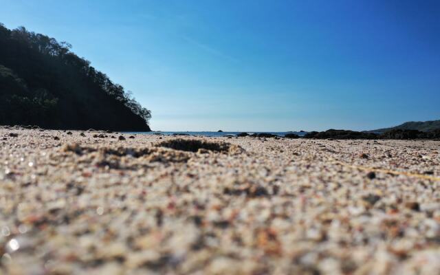 Los Vivos Beachfront Experience