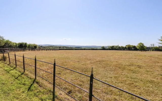 Little Rowan at Rowan Park Farm