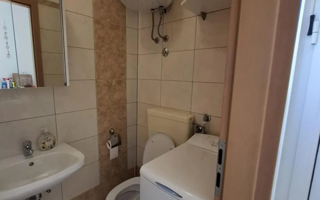 Studio apartman Latica