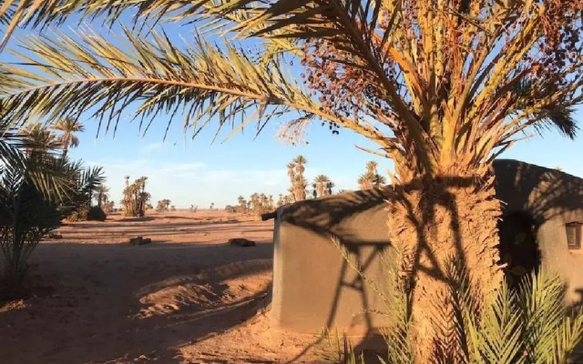 Camp Sahara Majestic