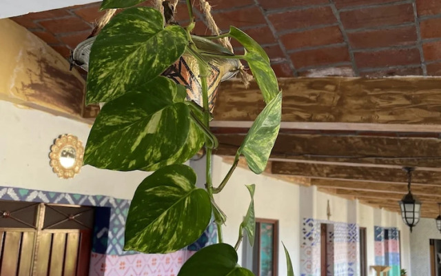 Ojo de Luna Teotitlan