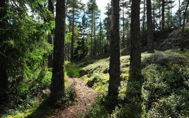Kroppefjäll Bed & Breakfast