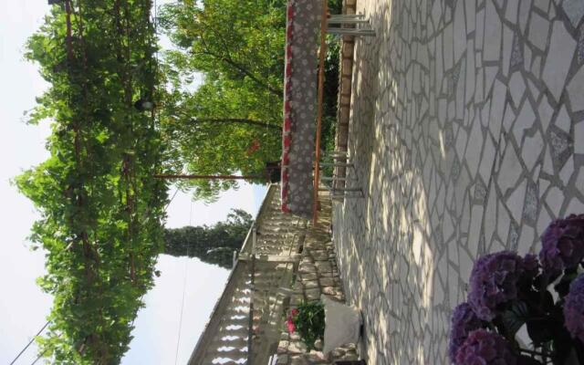 Apartments in Novi Vinodolski 39135