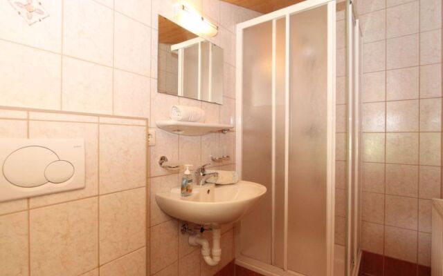 Apartment Alpin Zell am Ziller 15591