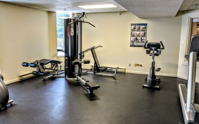 Whistler Blackcomb VR at Marquise