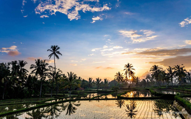 Hati Padi Cottages