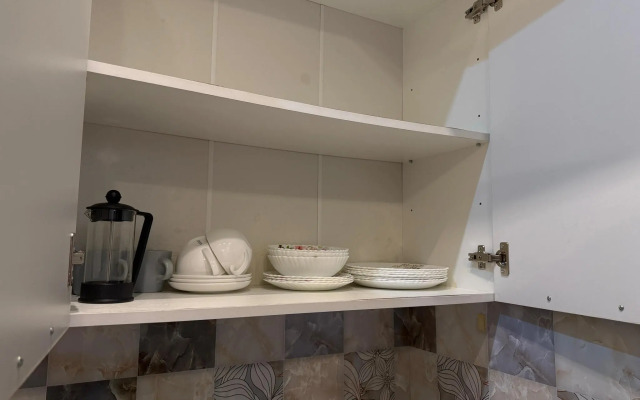 Апартаменты Pluton Aparts в СНТ Агро