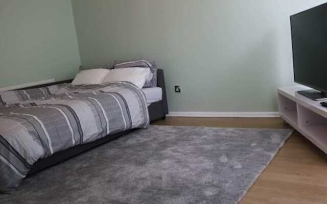 12 Guests 5-bedroom House in Central Birmingham