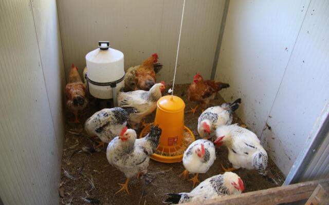 Podere Il Sorriso Degli Angeli