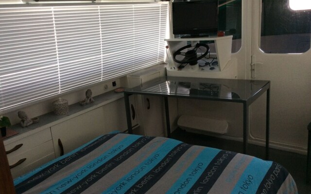 Penichette Oiseau Bleu