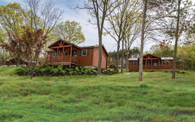 Single Island Shores