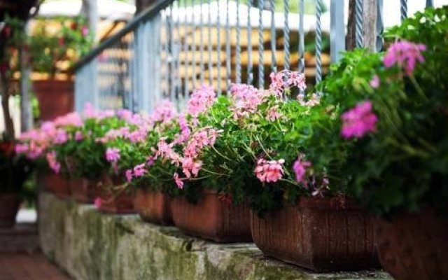 Giardini Caffé Calce