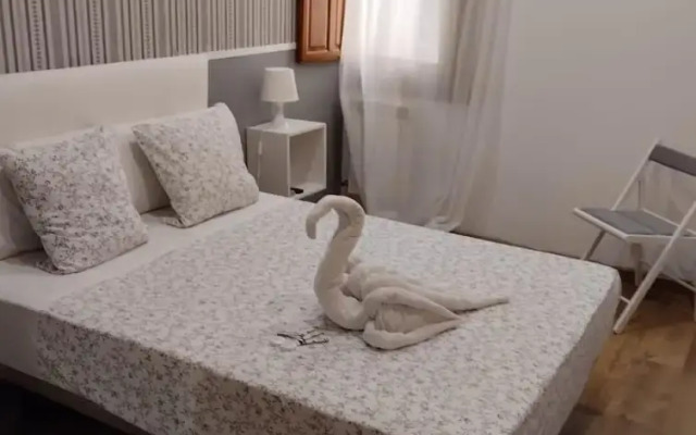New Dream Madrid