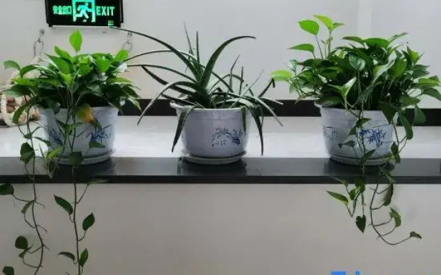 Wuyuan Fanglin Residence