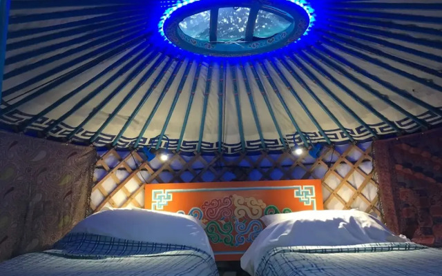 Glamping at Tregib