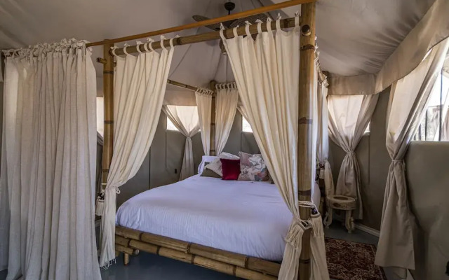 El Toril Glamping Experience
