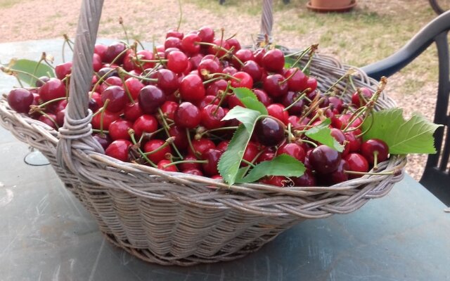 Biofarm Podere Ficareto