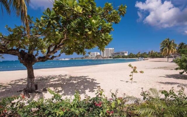 Deez Bed and Breakfast Ocho Rios