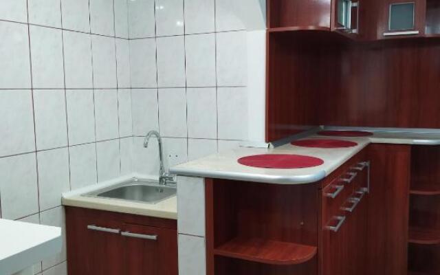 Apartament Miruna
