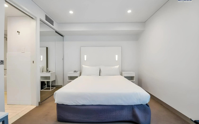 Swainson At Horizons