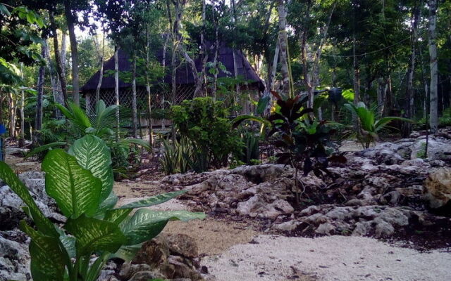 Quintana Roo National Park Campground & Hiking