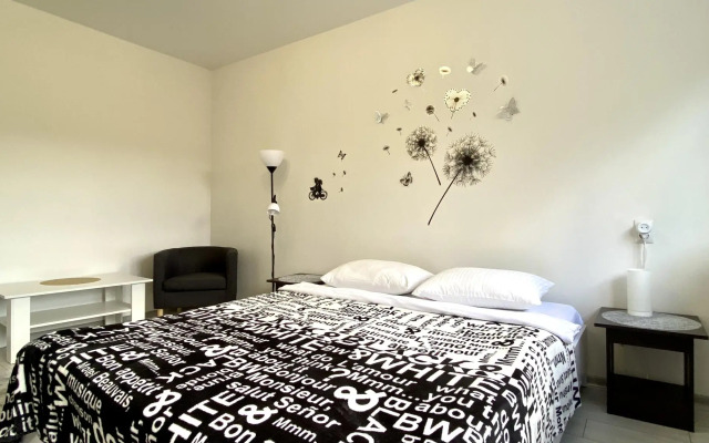 Apart Mari на набережная Старопрегольская