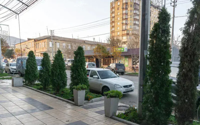 Park Avenyu