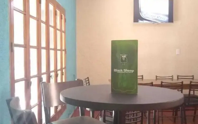 Black Sheep International Hostel