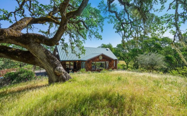 Healdsburg Home With Magnificent Vineyard View 2 Bedroom Home by Redawning