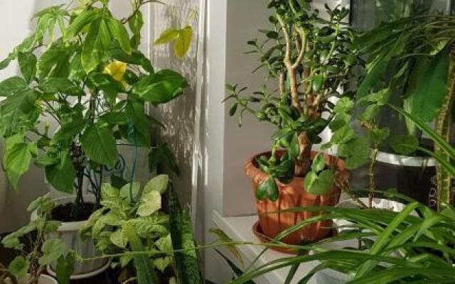 Apartamenty na SOVETSKOJ 39