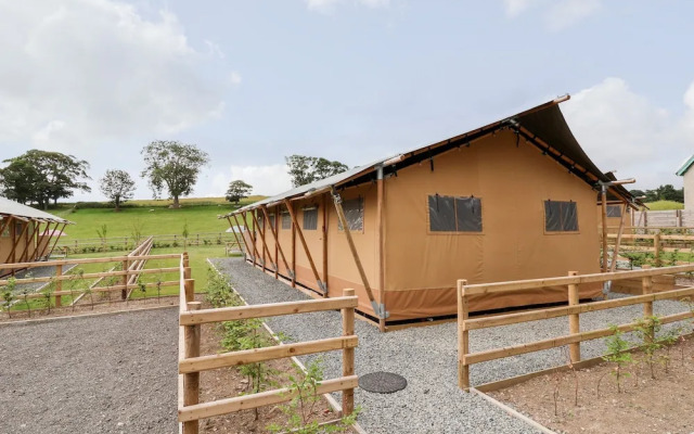 Mad Molly Lodge