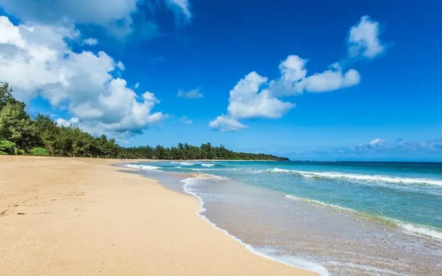 Kohala Lodge- Vacation Rental House