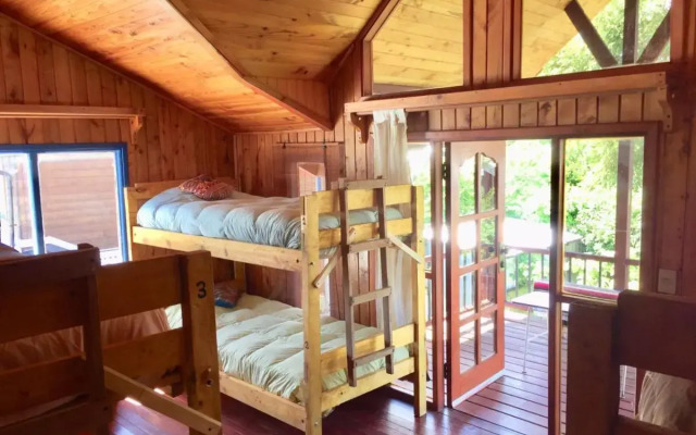 Hostel Raiz