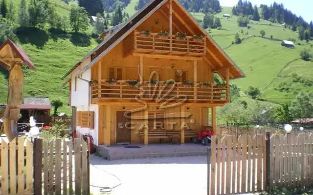Pensiunea Pui de Urs