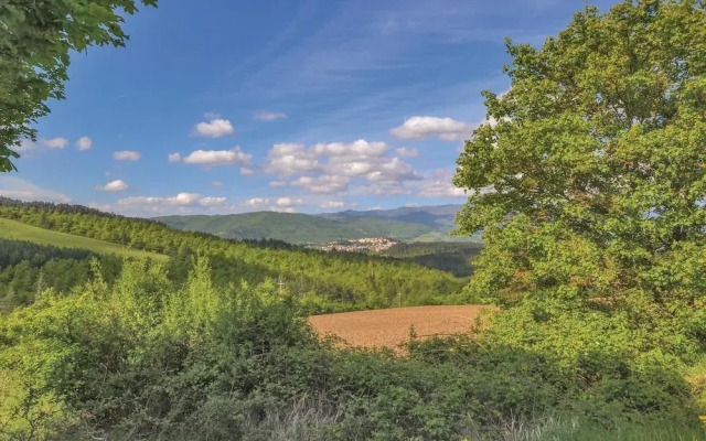 Casalte