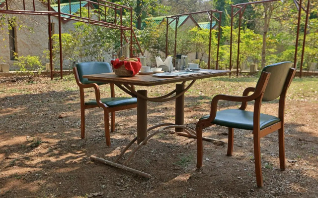 Bison Retreat - Pench