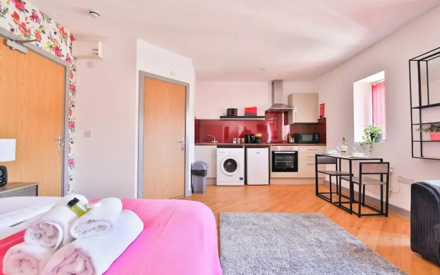 Princess Lofts Studios - Swansea City Centre