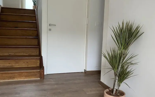 Vera Park & Wellness