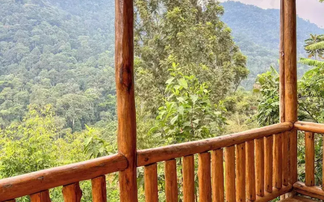 Gorilla Bluff Lodge
