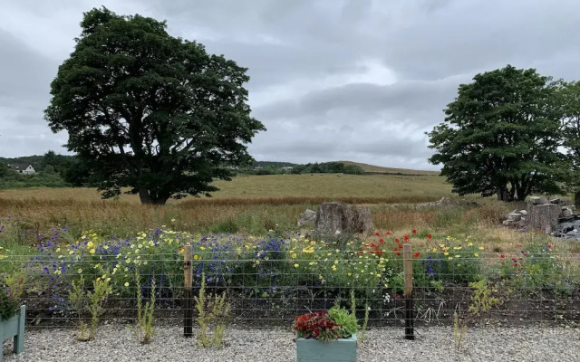 Ardgay Glamping Pods