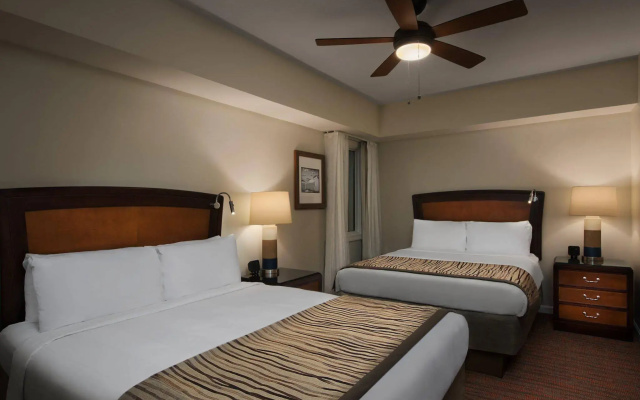 Marriott's SurfWatch