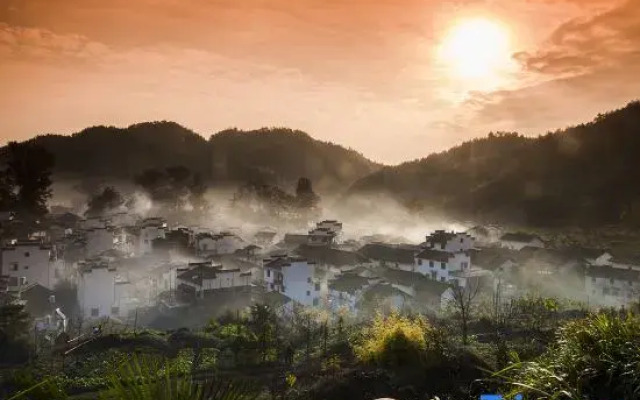 Wuyuan met the dawn bighead