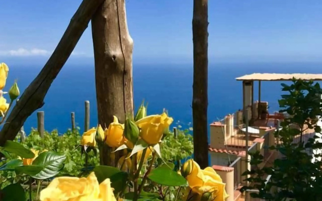 B&B Tenuta La Picola