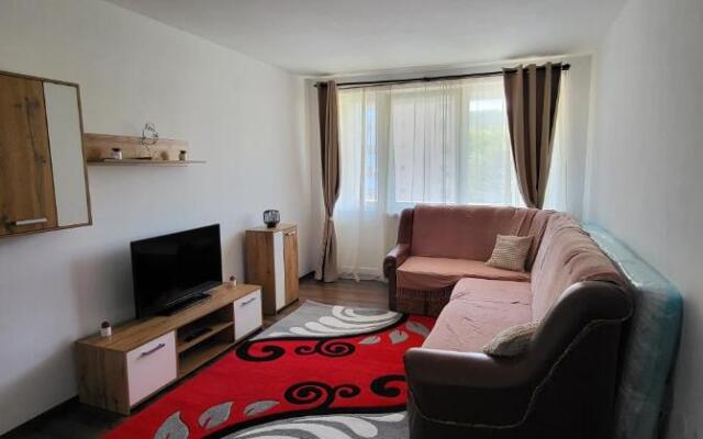Apartament in regim hotelier Deva
