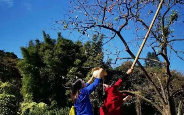 Haotianjing Tangquan Homrstay