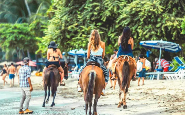 Tamarindo Surf Camps by Selina Surf Club - Hostel