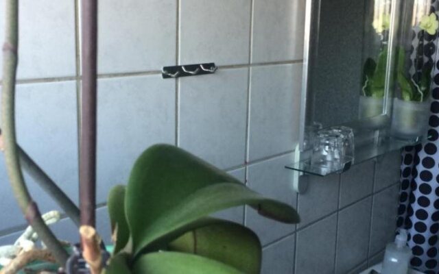 Hotel Ribe