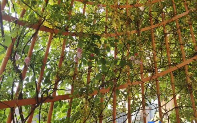 Home Inn Huaxuan Hotel Select (Zhoukou Taifuling Branch)